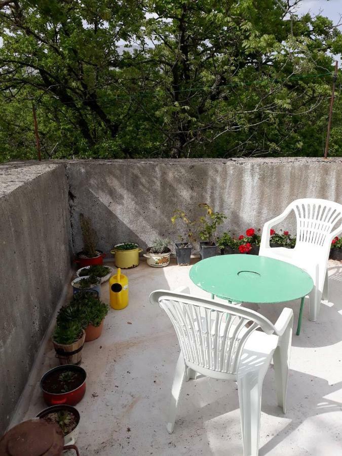 Apartman Milica Golubic  Eksteriør billede