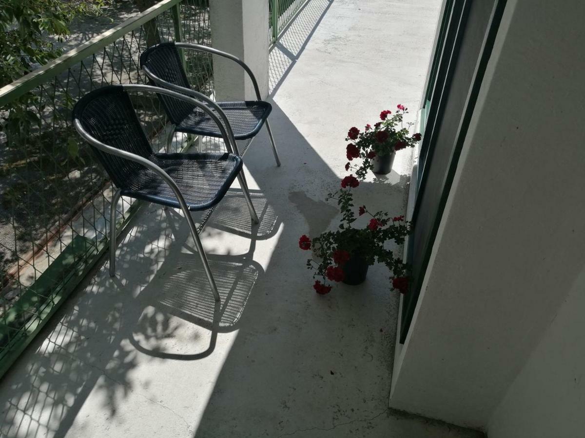 Apartman Milica Golubic  Eksteriør billede